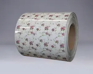 Dx51d dx52d dx53d ppgi ppgle coil dur